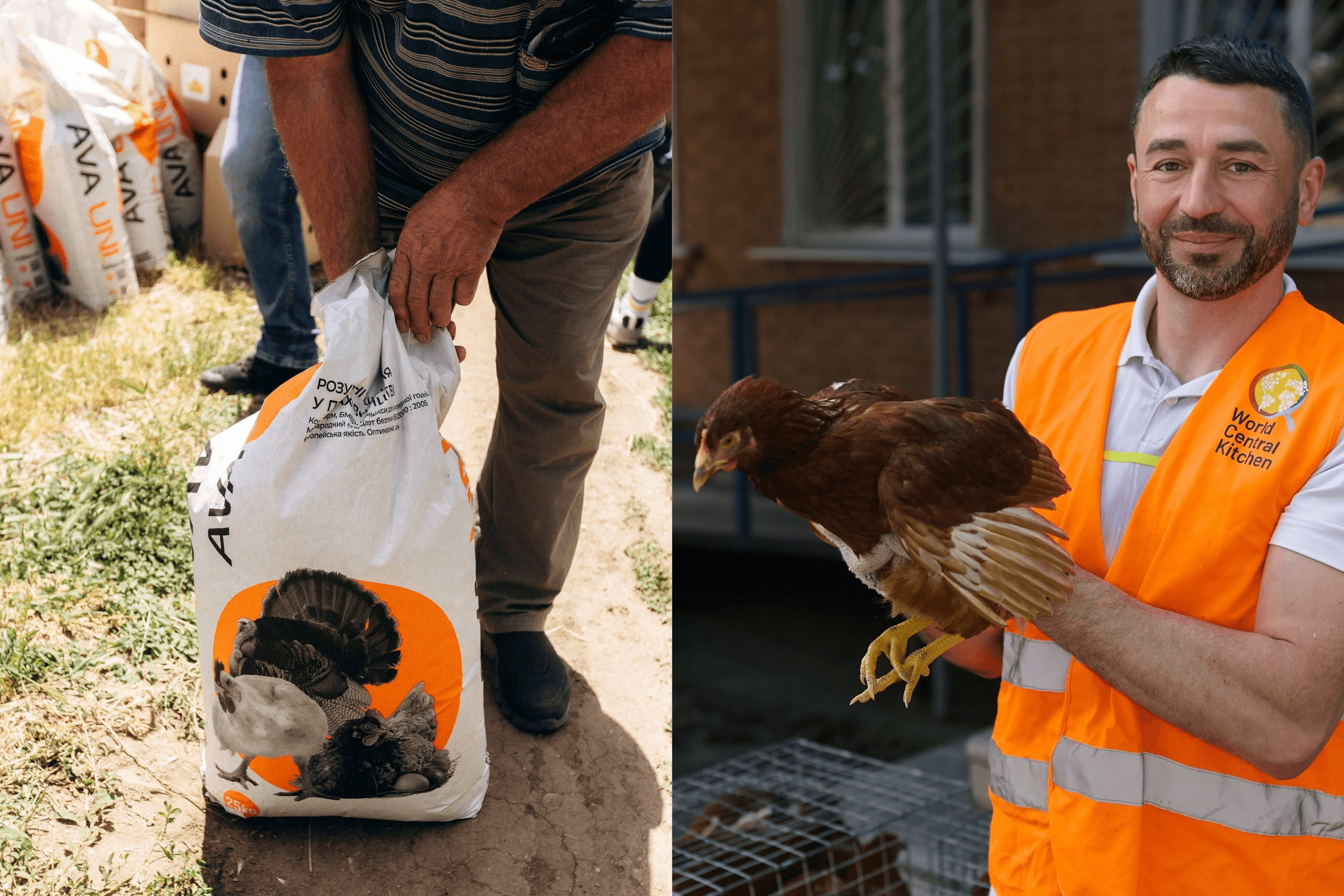 The World Central Kitchen team distributes kits containing chickens, feed, and waterers to families for their households. June 2026.