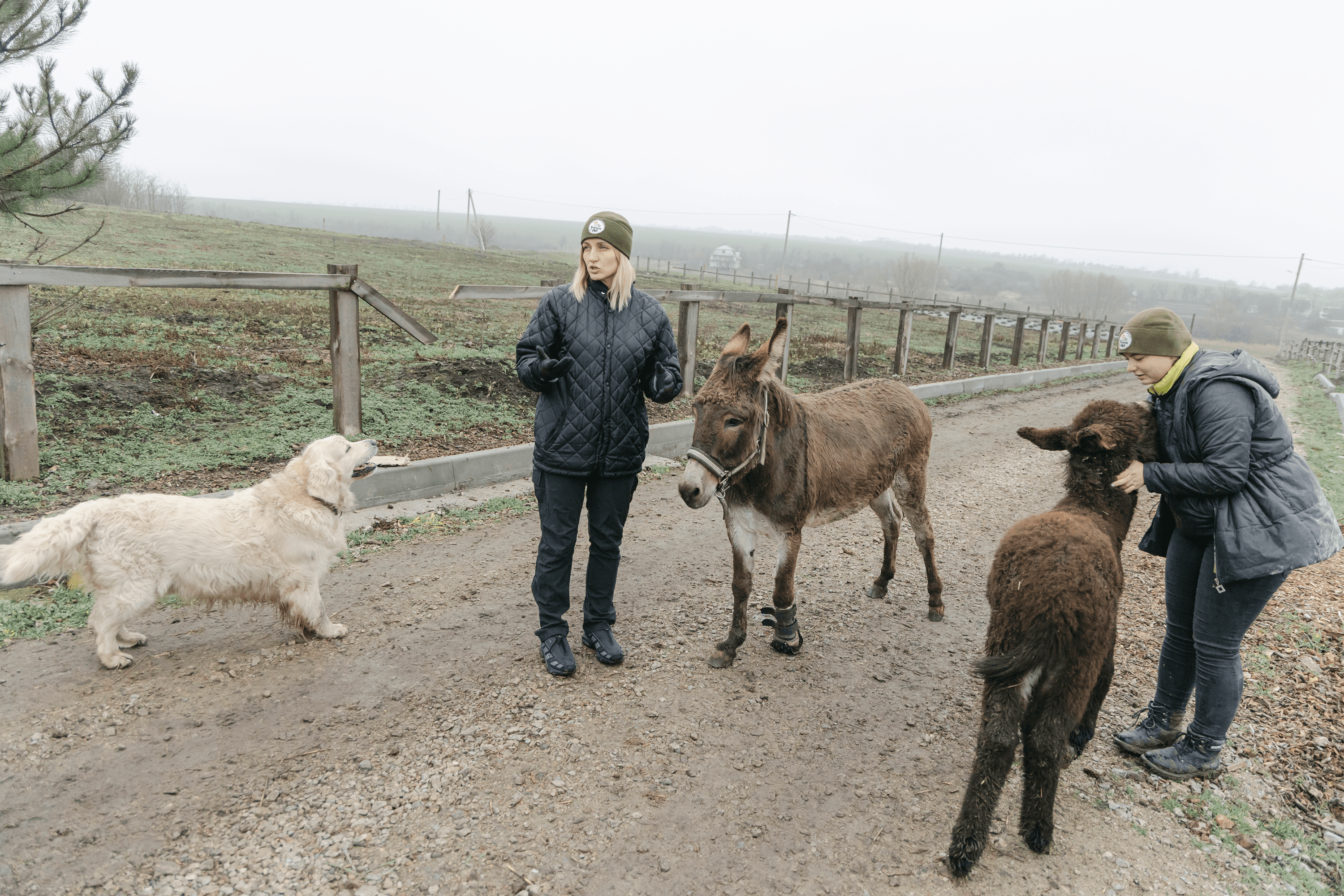 Evgenia Molchanova “It was supposed to be just a dacha.” A veteran and volunteer couple created the Green Grove farm, where soldiers recover thanks to animals