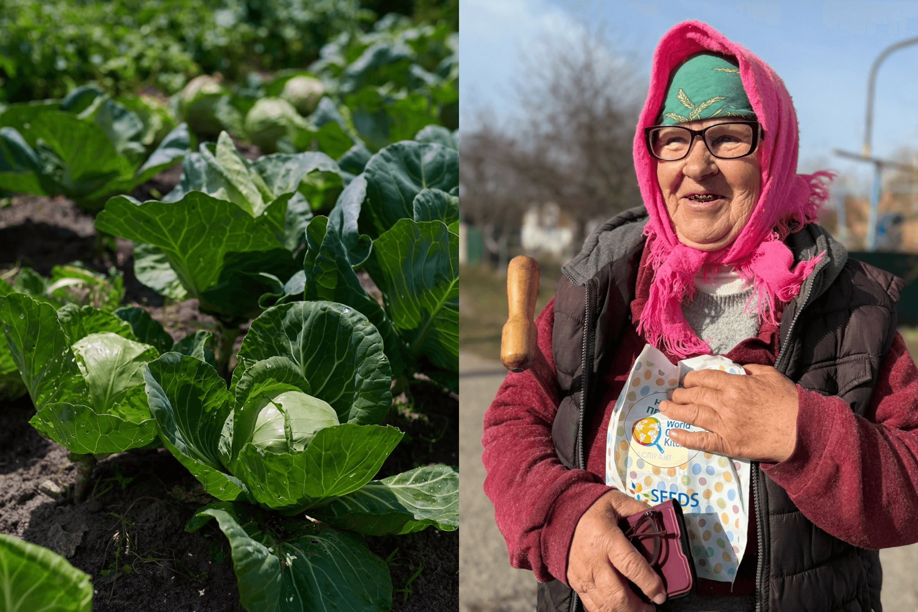 World Central Kitchen distributes 50,000 seed kits across war-affected agricultural regions of Ukraine. March 2025.