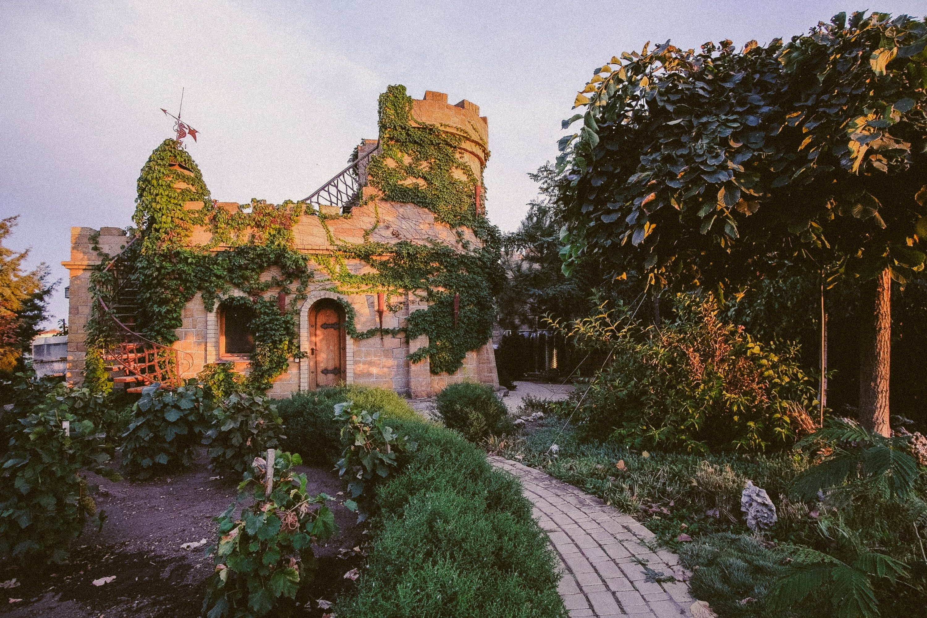The vineyard grounds of Beykush Winery.