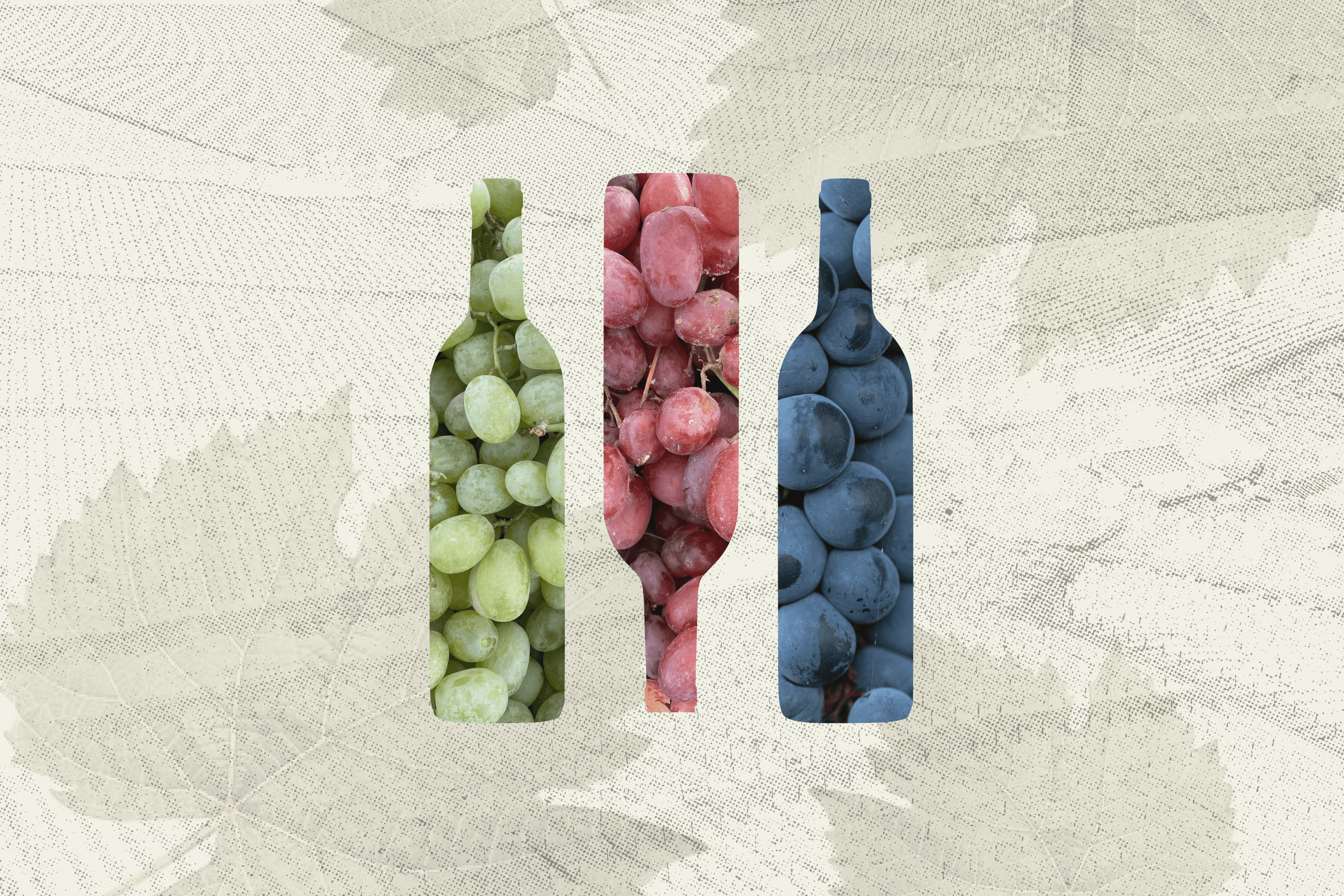 Over the past four years, interest in Ukrainian wine worldwide has increased sharply. Is there potential in this sector? Yes! A comprehensive analysis of Ukrainian winemaking