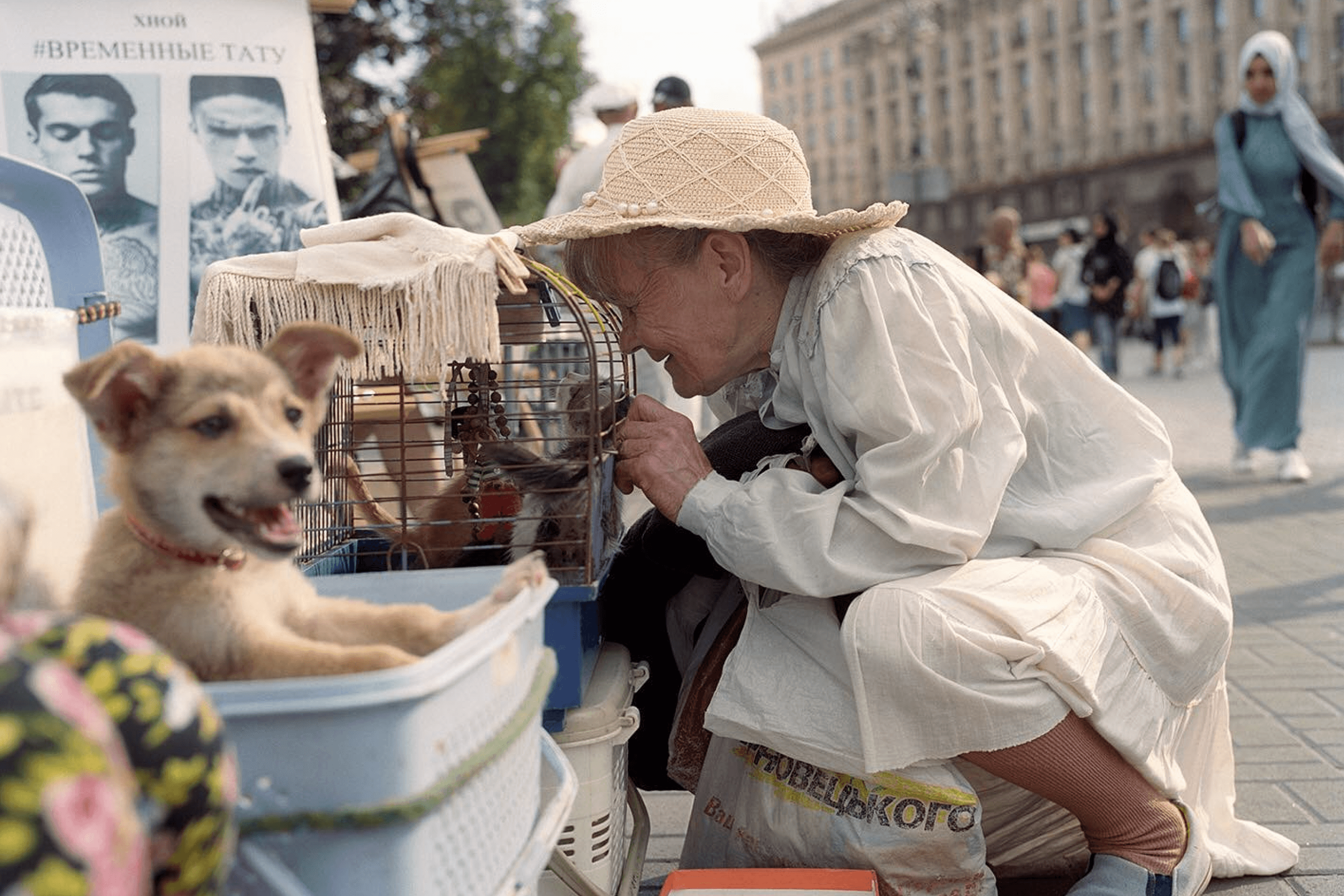 “Colorful Life 1.” 2017–2020.