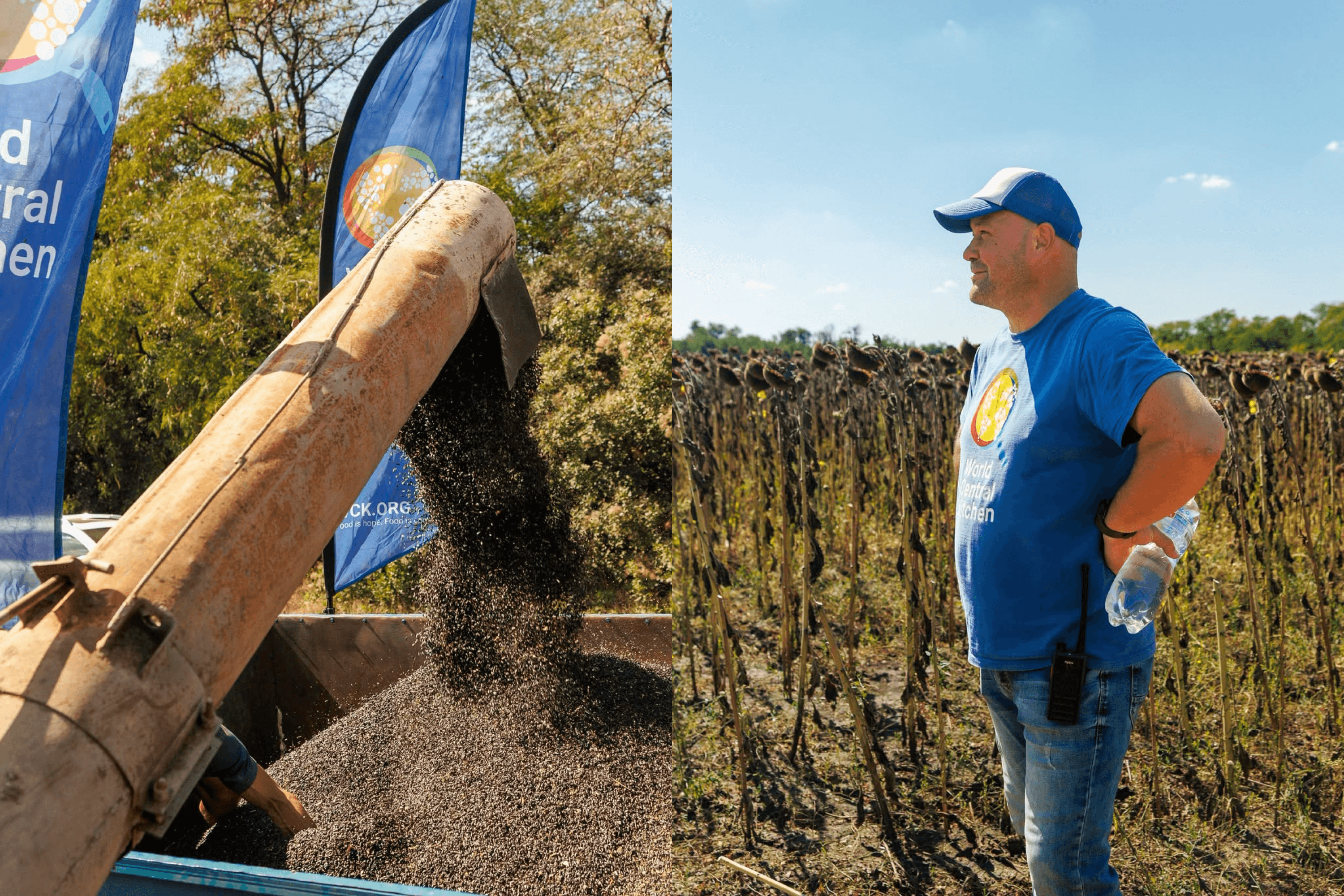 World Central Kitchen helps farmer Ivan in southern Ukraine grow and harvest sunflowers on 11 hectares of land. 2026.