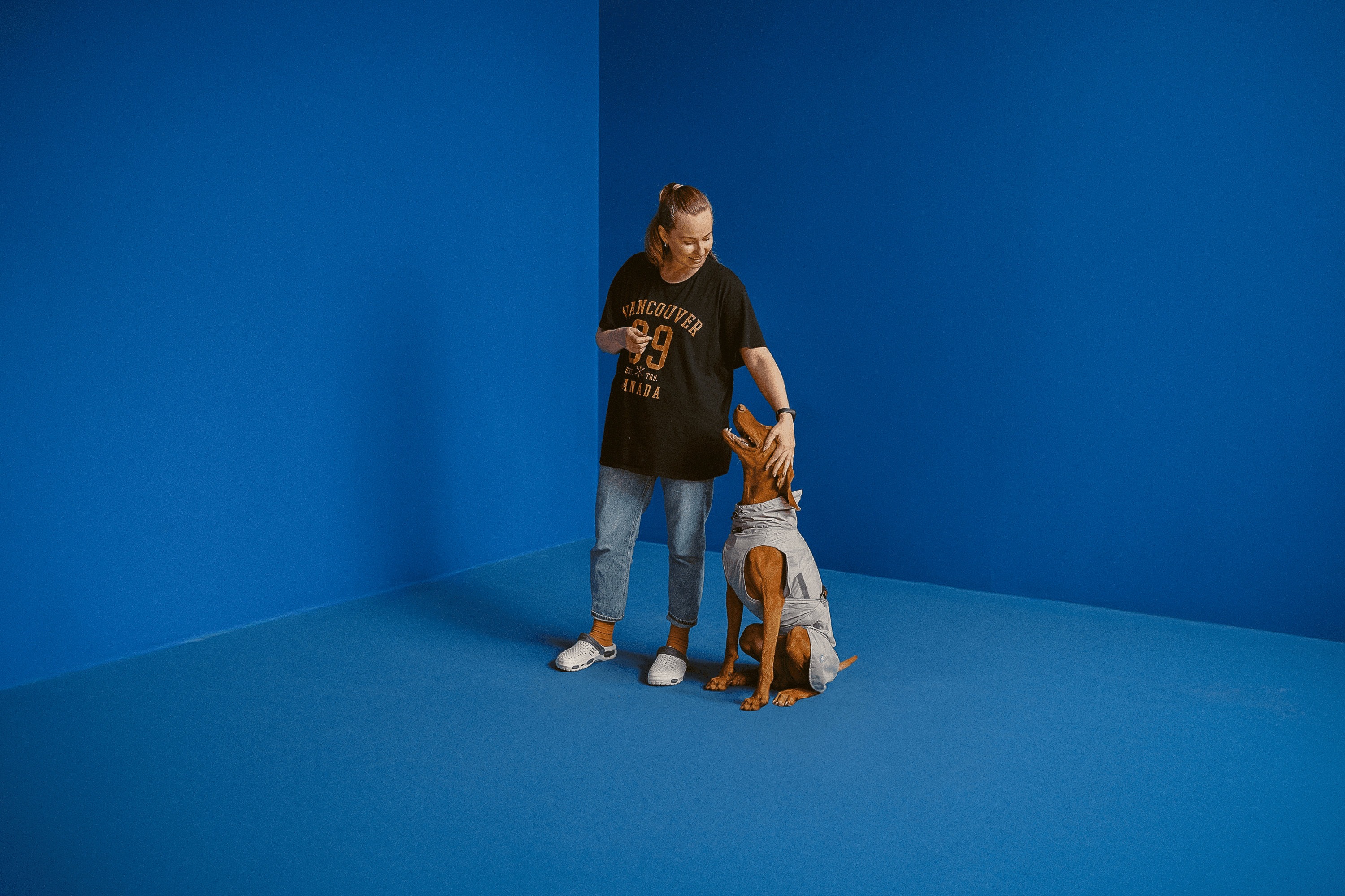 "Design plays a key role." How Ukrainian dog apparel brand Bark&Go gained popularity in Asian markets—an interview