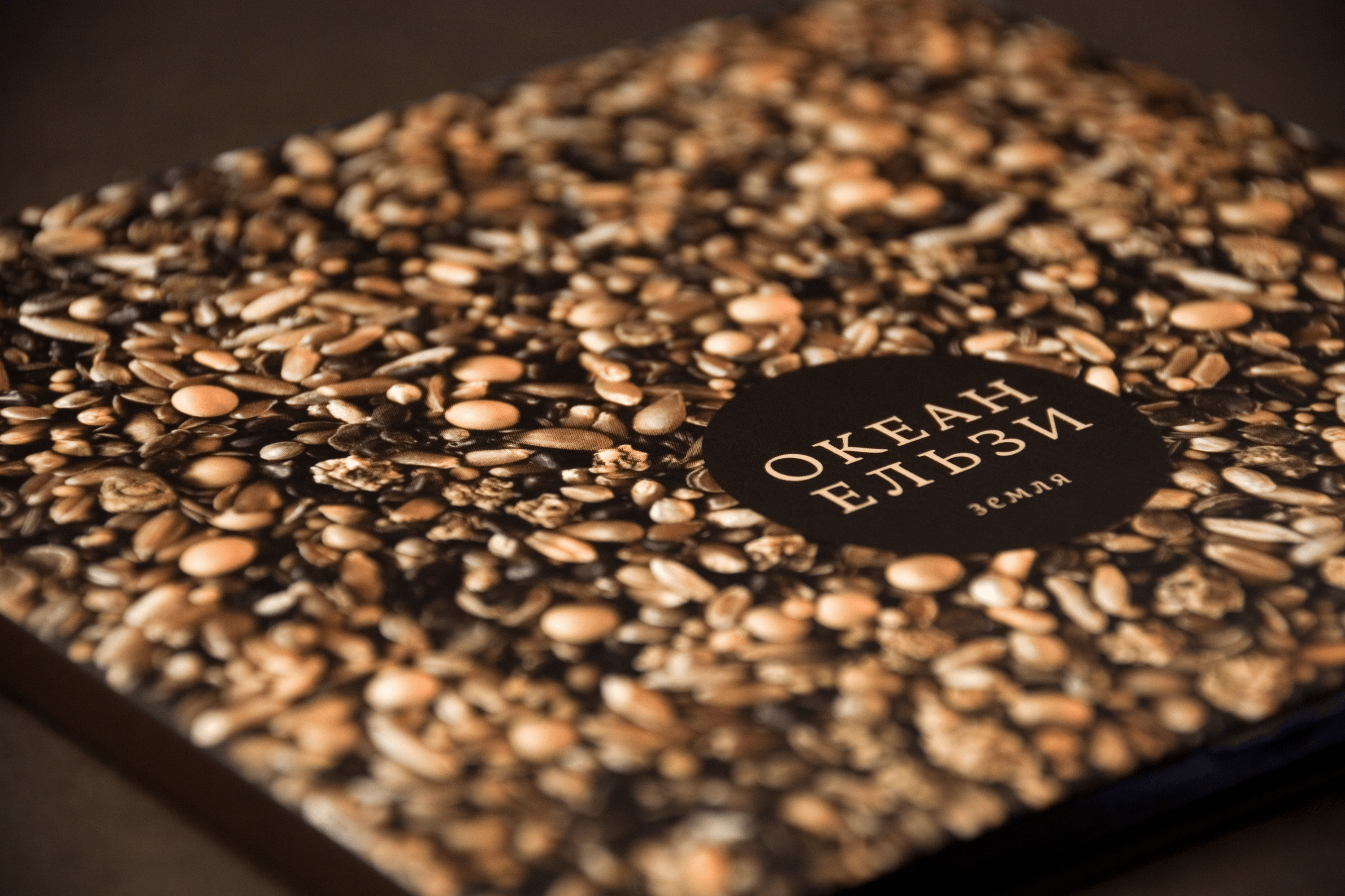 The design was created by Gutsulyak.Studio for Okean Elzy.