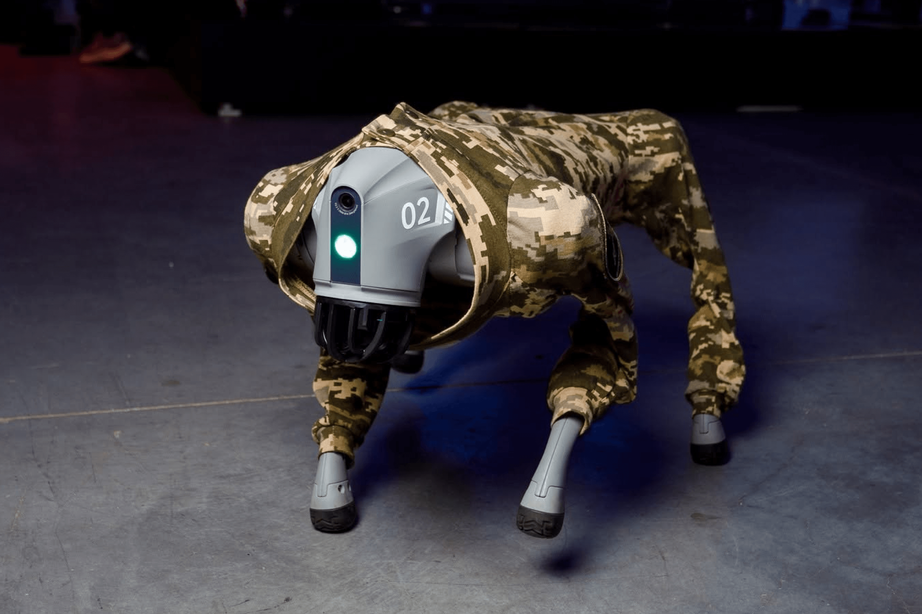 A service dog at the Defense Tech Innovations Forum 2025 in Kyiv. February 2025.