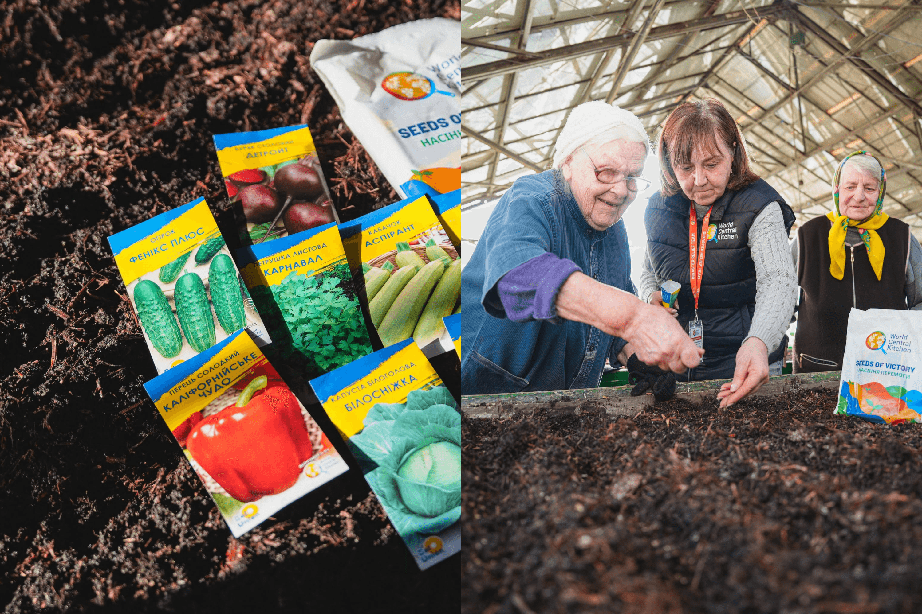Adele, 95, who was evacuated from Zaporizhzhia to Khmelnytskyi, plants seeds from a World Central Kitchen kit in the greenhouse at the facility where she lives. June 2026.
