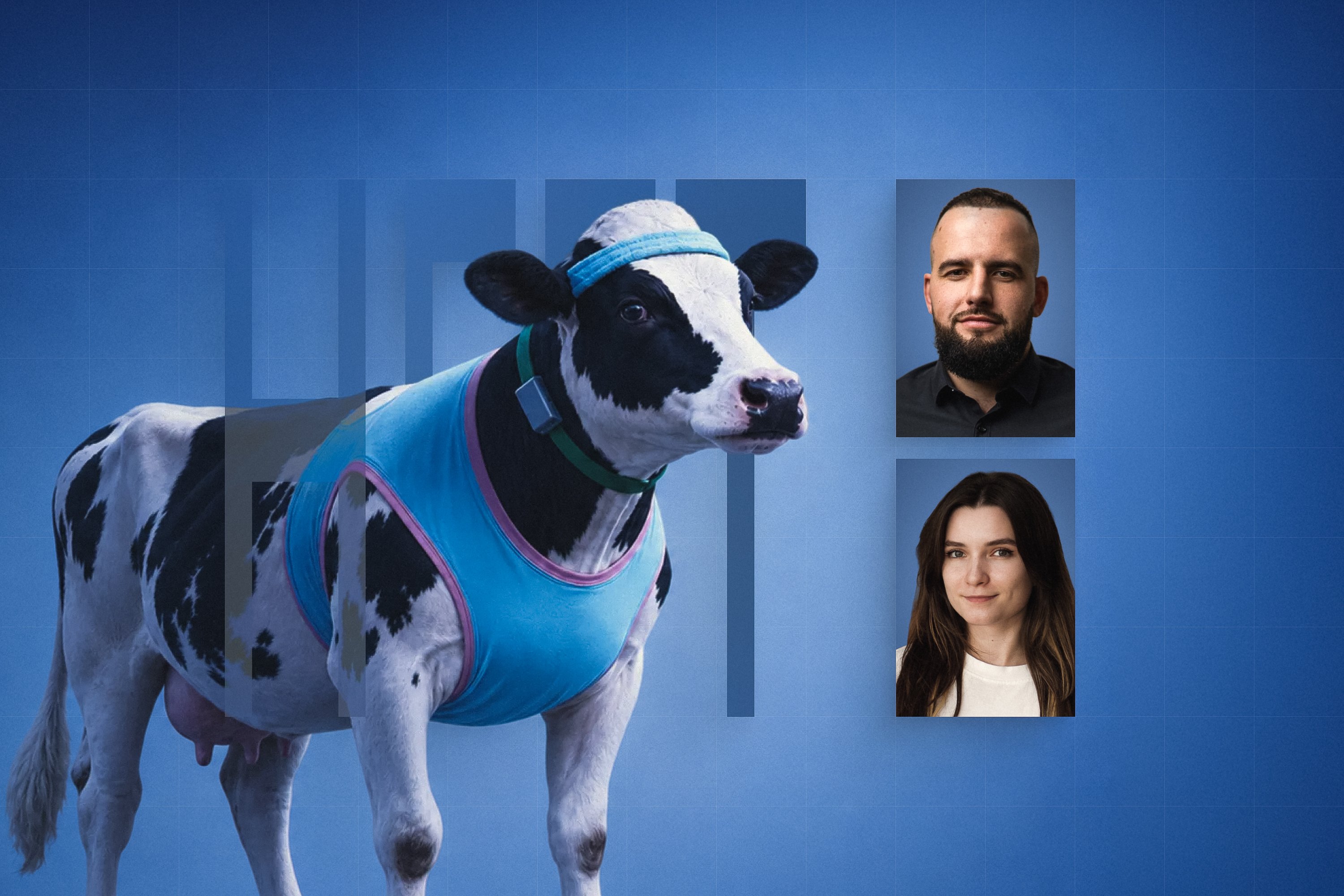 Ukrainian startup HEFT has created an “Apple Watch for cows.” Their device is already in use in Romania and Ukraine, and is now being prepared for launch in the US. Interview