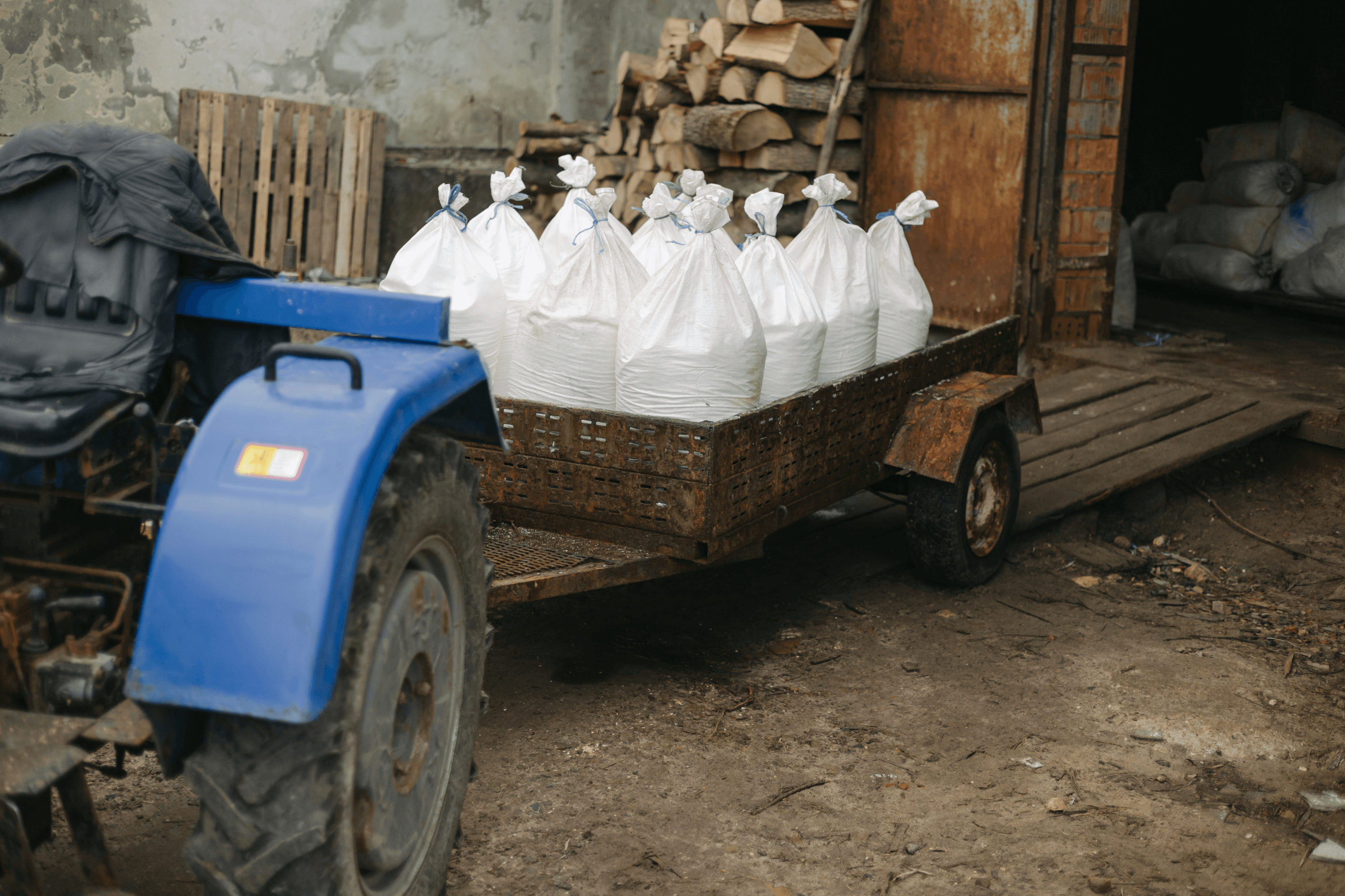 Bags of boiled salt are being transported to a centrifuge for further drying.