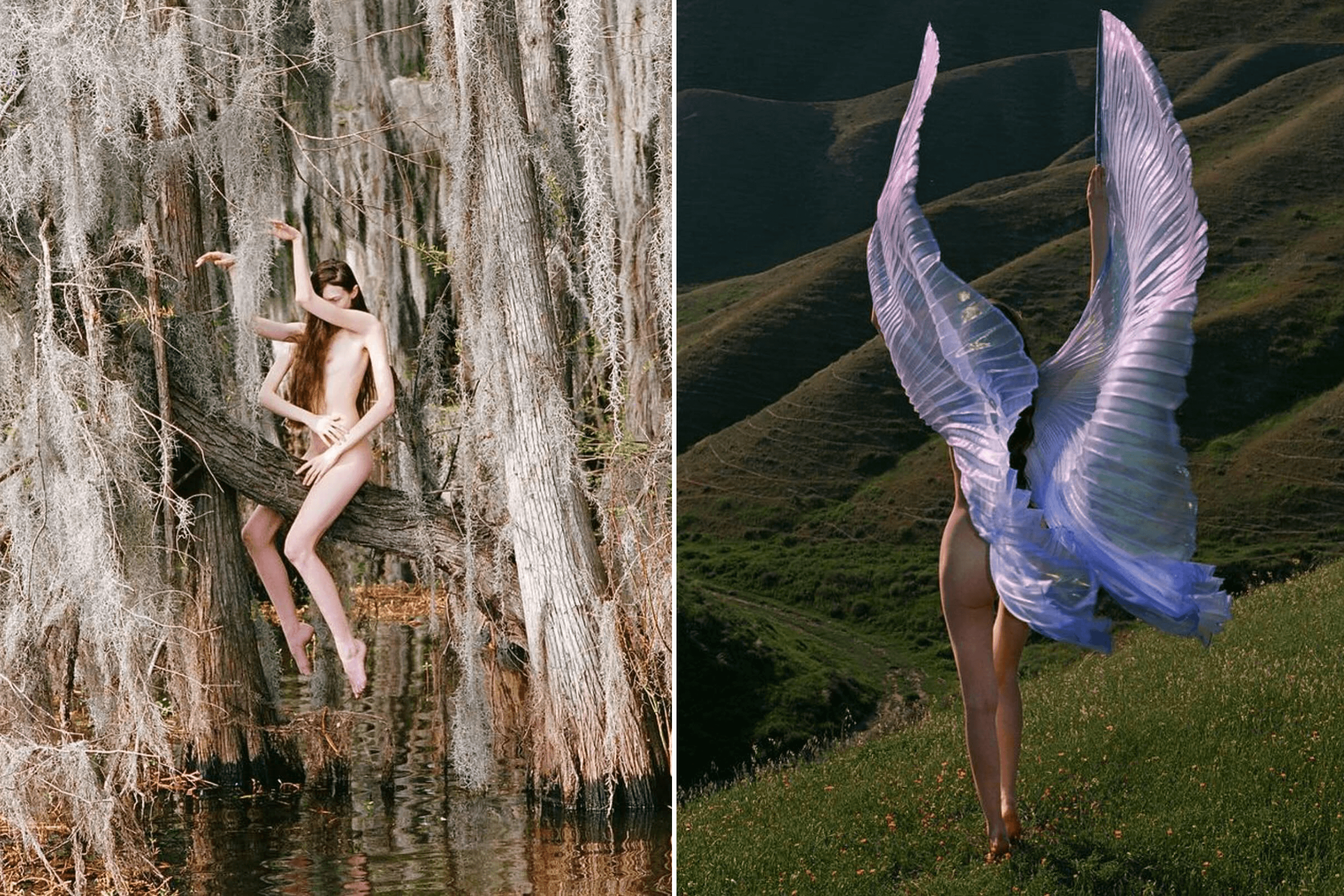 Fine art works by Synchrodogs.